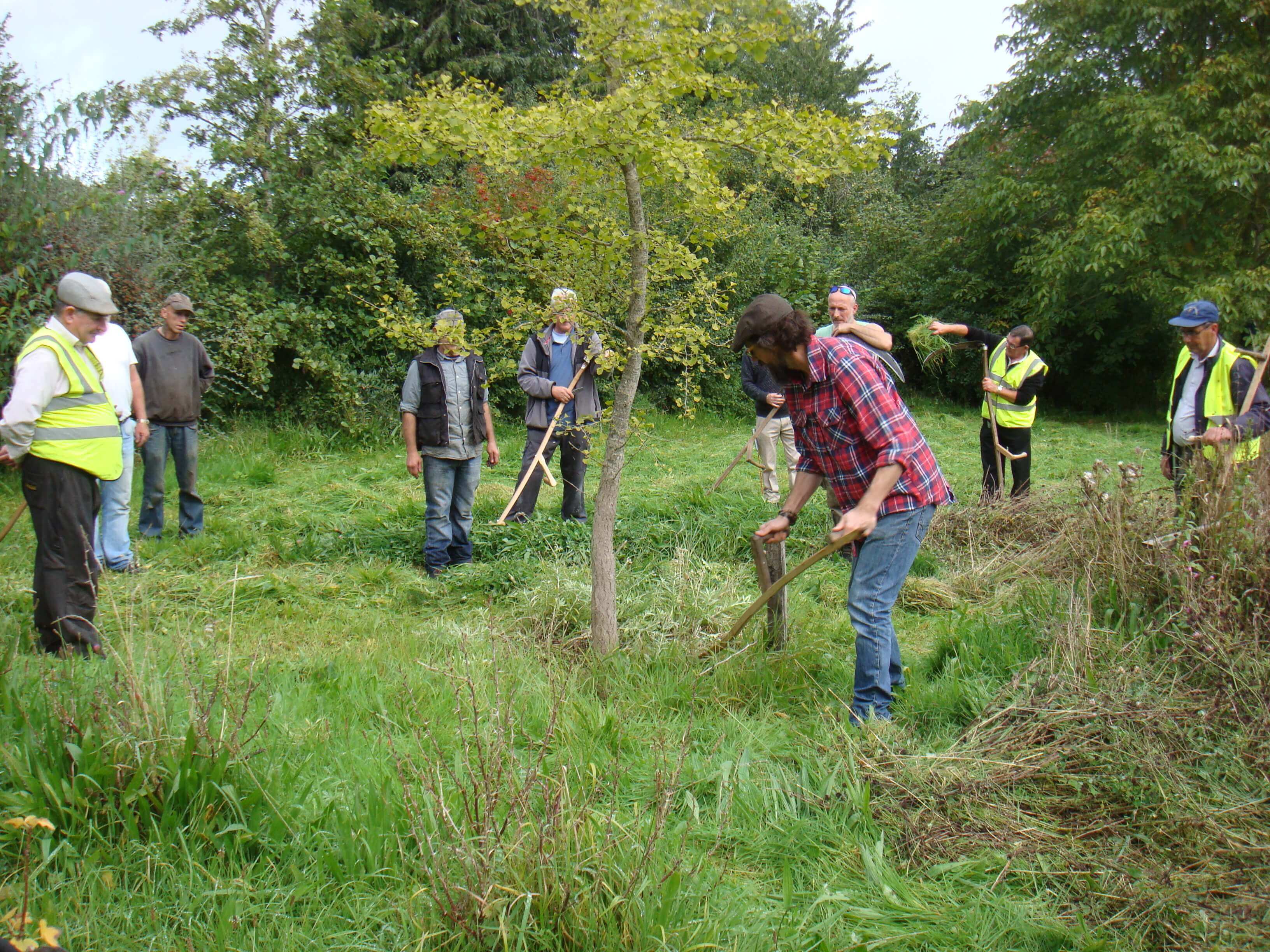 Scything